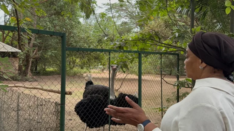 Eve Bazaiba en visite au jardin zoologique de Lubumbashi  » Sanctuaire de la Biodiversité » 